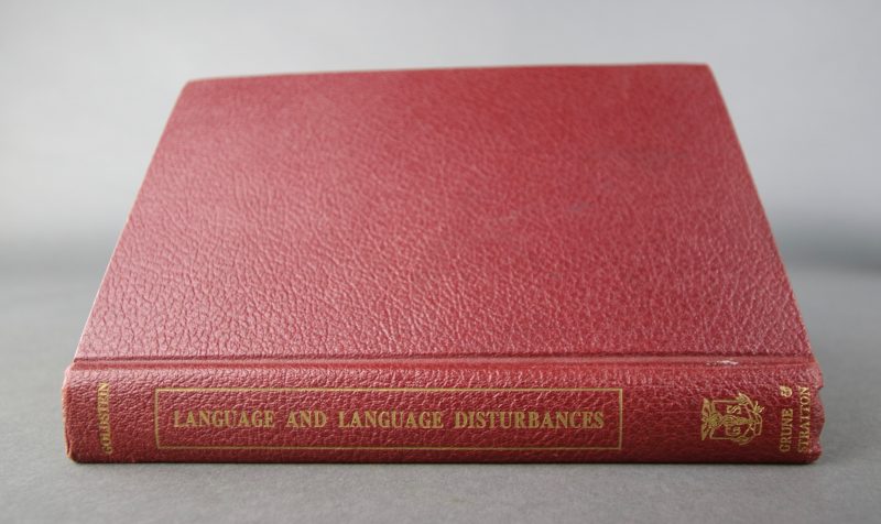 Language and language disturbances