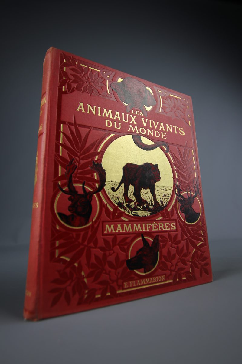 Les animaux vivants du monde – mammifères