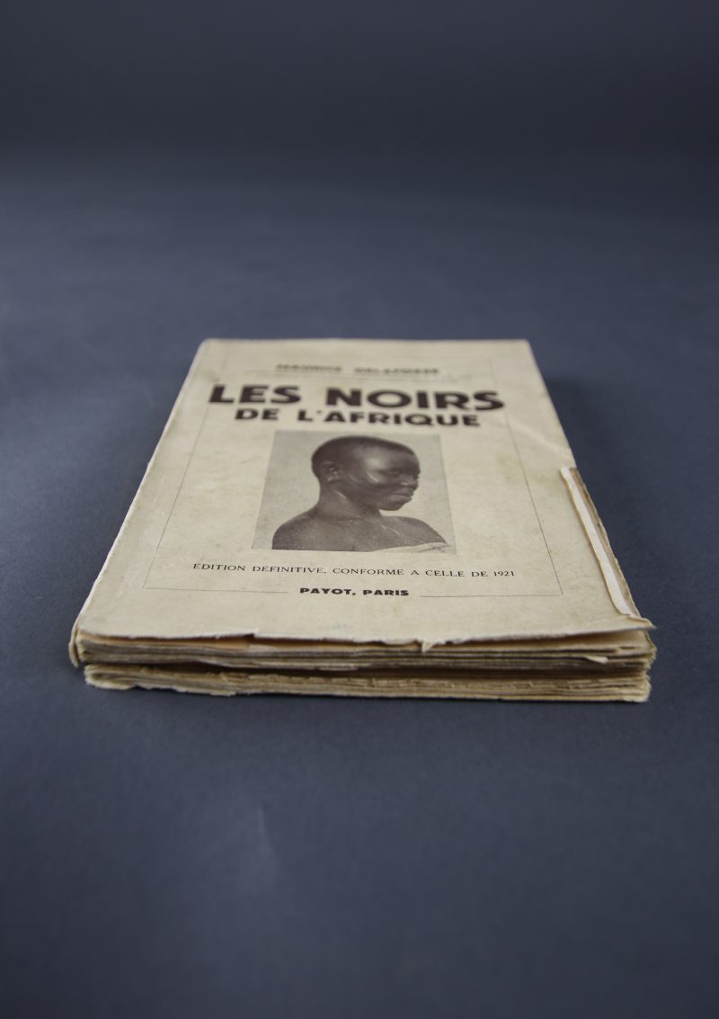 Les Noirs de l’Afrique